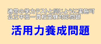 活用力養成問題