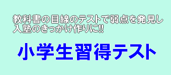 小学生習得テスト